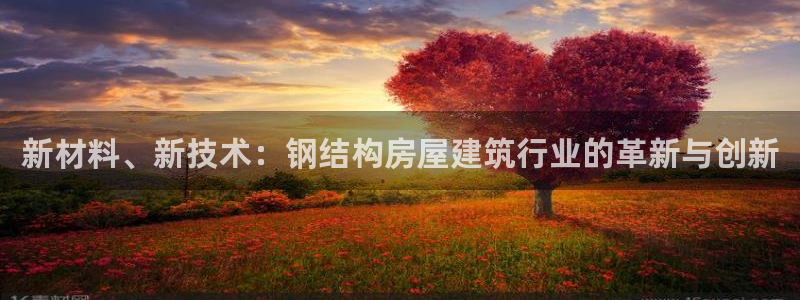 先锋娱乐科技：新材料、新技术：钢结构房屋建筑行业的革新与创新