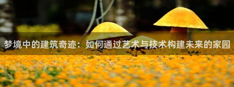 先锋娱乐平台：梦境中的建筑奇迹：如何通过艺术与技术构建未来的家园