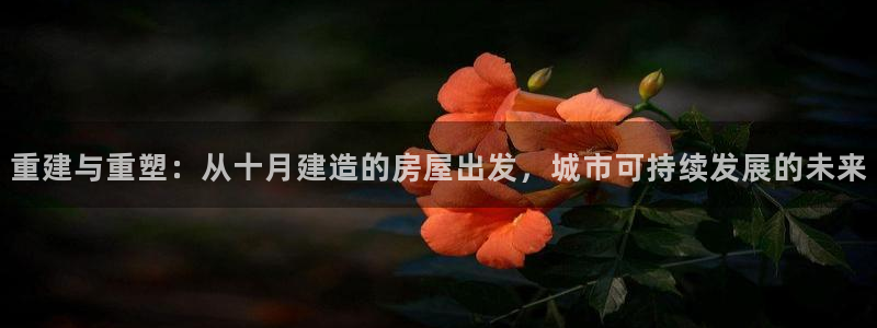 先锋娱乐科技：重建与重塑：从十月建造的房屋出发，城市可持续发展的未来