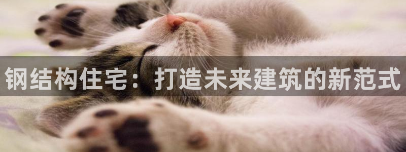 先锋电子车载娱乐系统：钢结构住宅：打造未来建筑的新范式