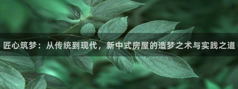 先锋娱乐系统：匠心筑梦：从传统到现代，新中式房屋的造梦之术与实践之道